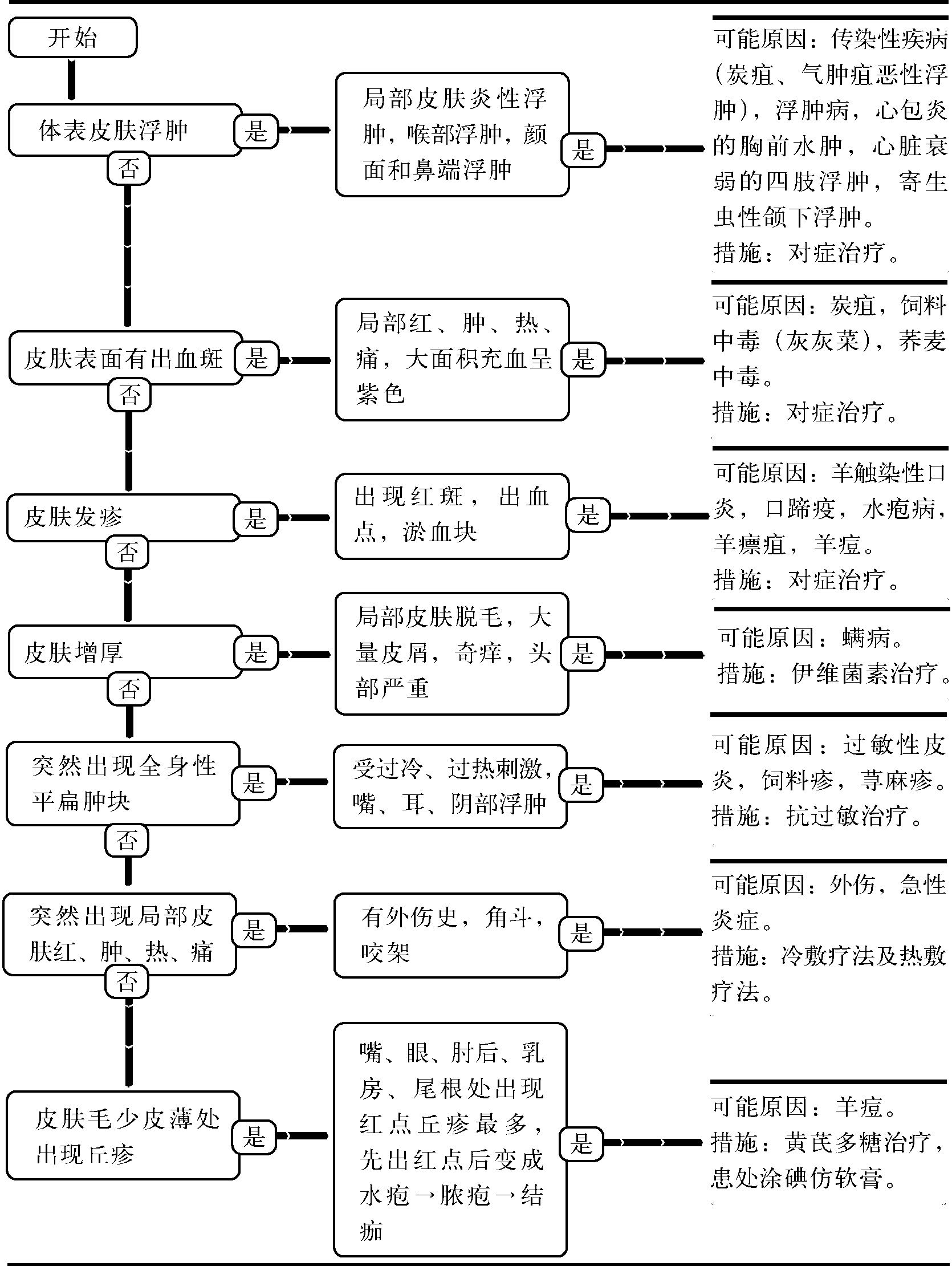 7.皮膚病變